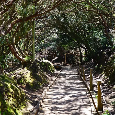 Sweet Laguna With Free Parking 公寓 拉拉古纳